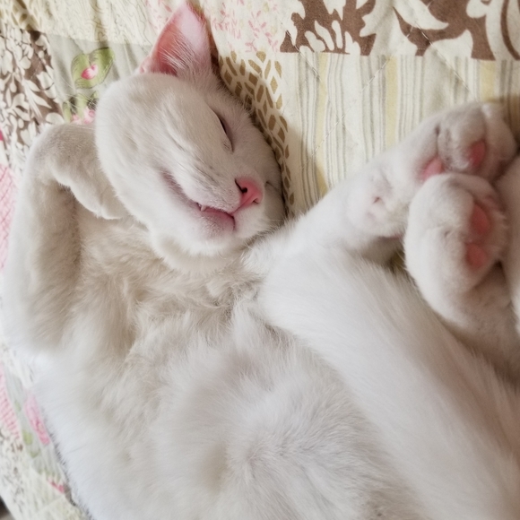 Meet your Posher, Sunshine - Picture 8 of 9